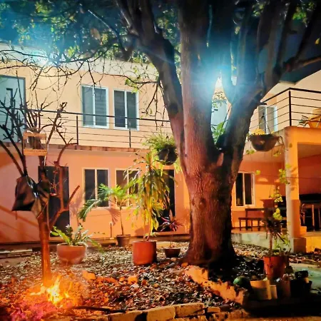 Casa Canseco Oaxaca Exterior photo