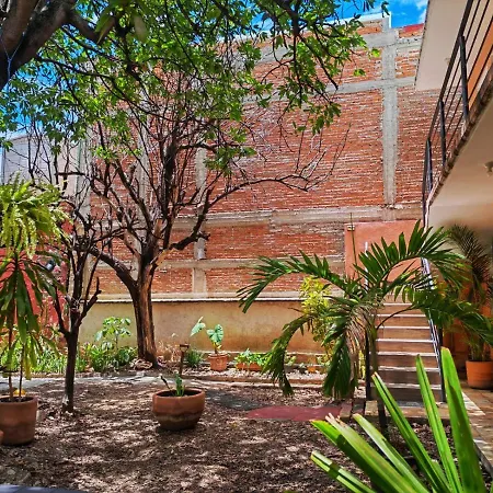 Casa Canseco Oaxaca Exterior photo