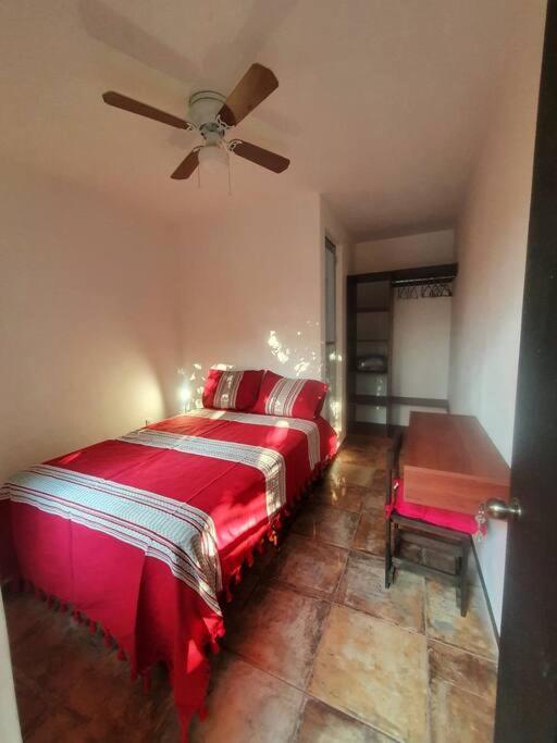 Casa Canseco *